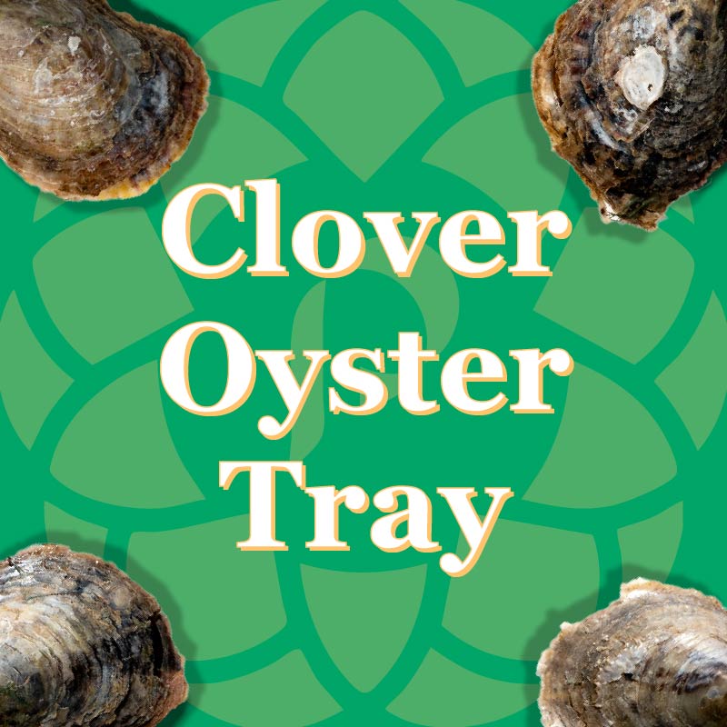 Clover Oyster Tray