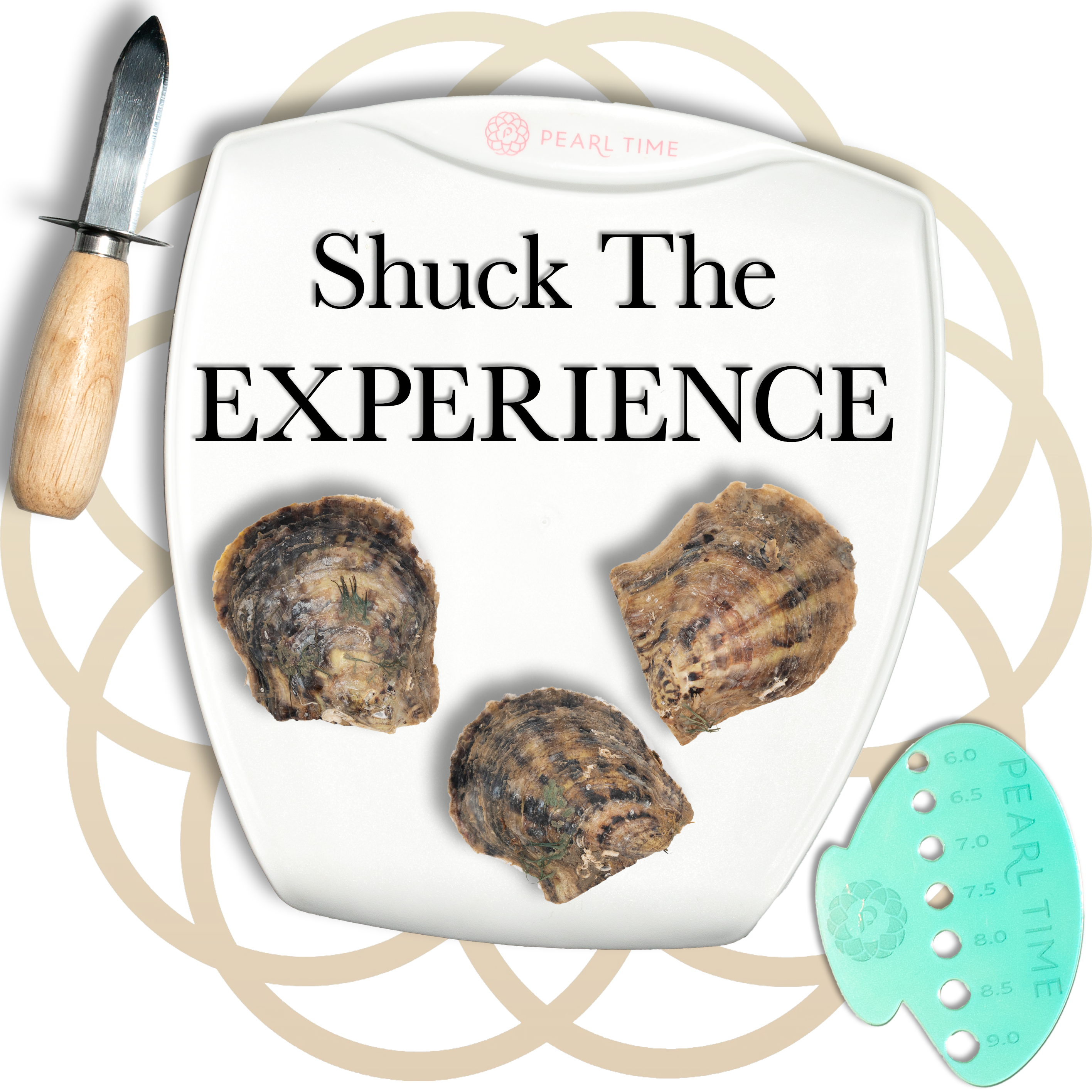 Shuck the Experience